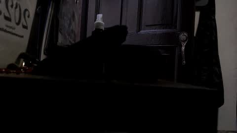 maximotorricelli online show from 3, 1, 2025