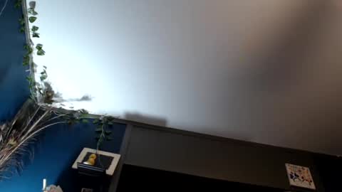 Max and Pam Voyeur Cam online show from 16, 2, 2025