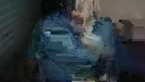 Beastie online show from 4, 3, 2025