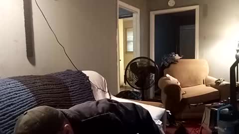 mcfly1973 online show from 2, 3, 2025