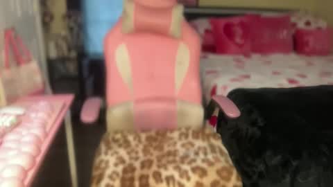 Southern Peach online show from 17, 3, 2026