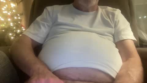 Snapshot of megabigkahuna chatting on 26, 12, 2024 whatever you want it to be online show from 26, 12, 2024