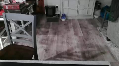 GlamTransGoddess online show from 26, 2, 2025