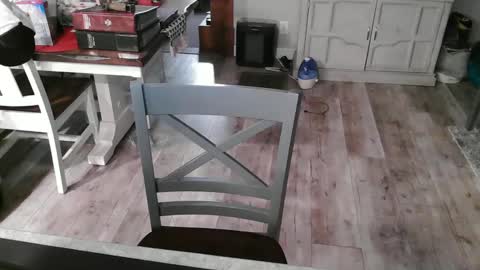 GlamTransGoddess online show from 3, 3, 2025