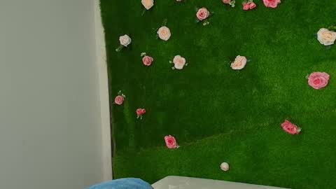 Snapshot of megatitts_ chatting on 6, 1, 2026 megatitts_ online show from 6, 1, 2026