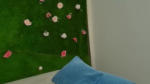 Snapshot of megatitts_ chatting on 15, 1, 2026 megatitts_ online show from 15, 1, 2026