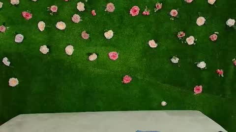 Snapshot of megatitts_ chatting on 3, 2, 2026 megatitts_ online show from 3, 2, 2026