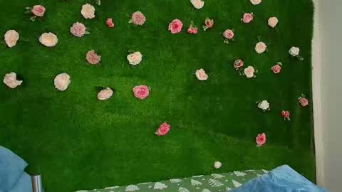 Snapshot of megatitts_ chatting on 22, 2, 2026 megatitts_ online show from 22, 2, 2026