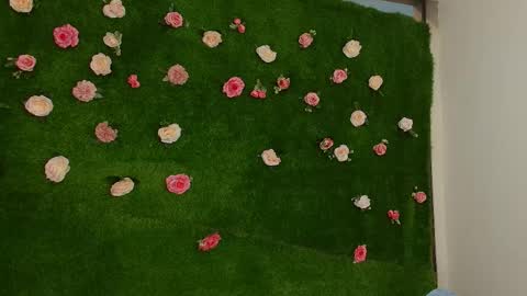 Snapshot of megatitts_ chatting on 1, 4, 2026 megatitts_ online show from 1, 4, 2026