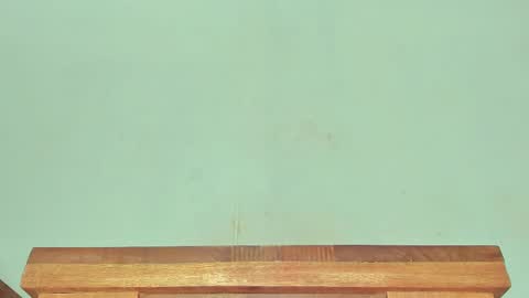 Melania online show from 1, 3, 2025