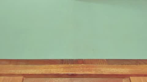 Melania online show from 1, 3, 2025