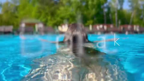 Snapshot of melanybunny chatting on 12, 12, 2024 Adel online show from 12, 12, 2024