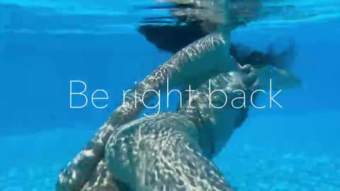 Snapshot of melanybunny chatting on 3, 11, 2025 Adel online show from 3, 11, 2025