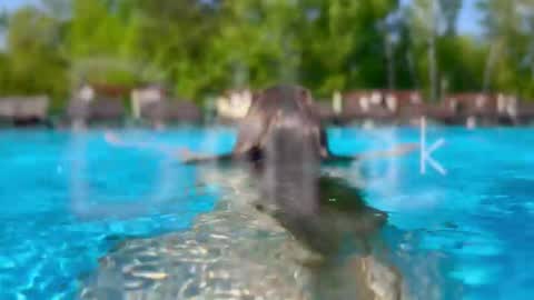 Snapshot of melanybunny chatting on 14, 1, 2026 Adel online show from 14, 1, 2026