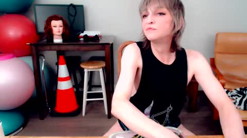 Snow Hobot online show from 7, 11, 2025