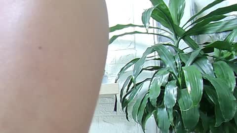 Melissa online show from 23, 1, 2025