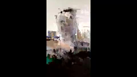 Snapshot of melissaknowles46 chatting on 1, 2, 2026 melissaknowles46 online show from 1, 2, 2026