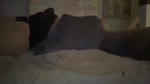 melt13 online show from 1, 1, 2025