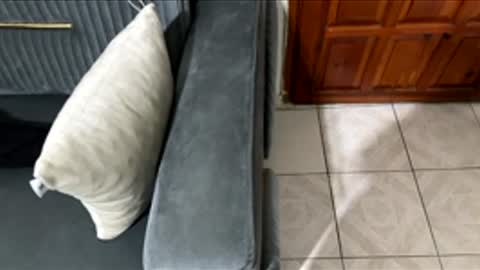 Chucky1200 online show from 27, 2, 2026