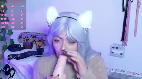 Snapshot of meow_cat4 chatting on 12, 6, 2026 Cata online show from 12, 6, 2026