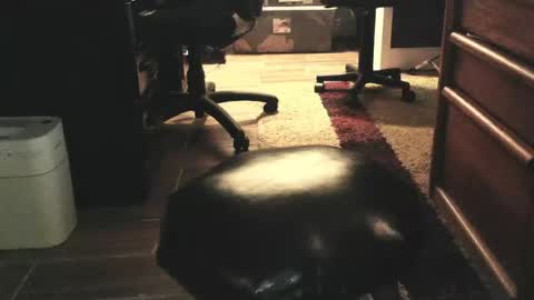 methorny online show from 28, 3, 2026