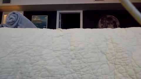 methorny online show from 29, 3, 2026