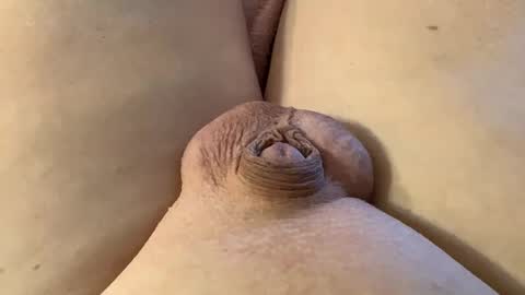 Wade online show from 28, 1, 2025