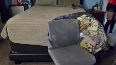 Mia online show from 14, 12, 2024