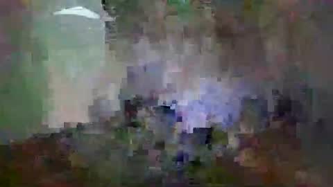 Snapshot of miagomezx chatting on 14, 2, 2026 miagomezx online show from 14, 2, 2026