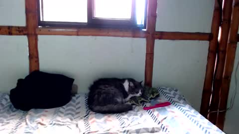 Mia  Sam online show from 24, 11, 2025