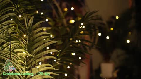 ask online show from 27, 12, 2024