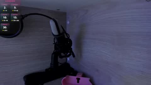 Snapshot of michellepreston_ chatting on 20, 2, 2026 michellepreston_ online show from 20, 2, 2026