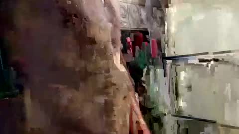 Snapshot of mickavis1975 chatting on 12, 1, 2025 mickavis1975 online show from 12, 1, 2025