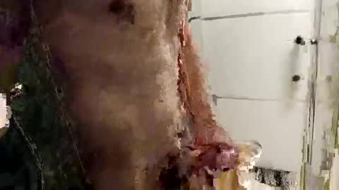 Snapshot of mickavis1975 chatting on 14, 12, 2025 mickavis1975 online show from 14, 12, 2025