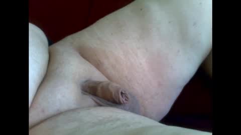 micropimmel online show from 11, 1, 2026