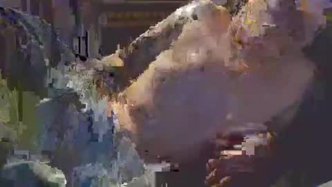 middle123456783939 online show from 11, 9, 2025