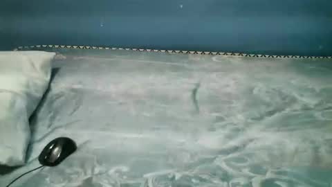 Caddy online show from 1, 11, 2025