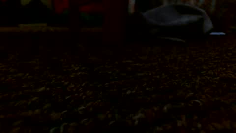 Miggy online show from 24, 12, 2024