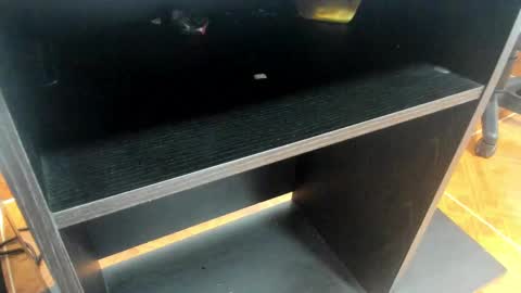 Mia online show from 24, 2, 2025