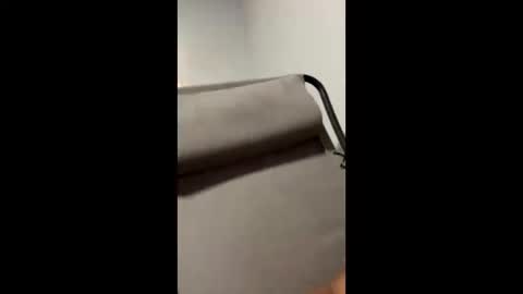 mike66730 online show from 25, 2, 2025