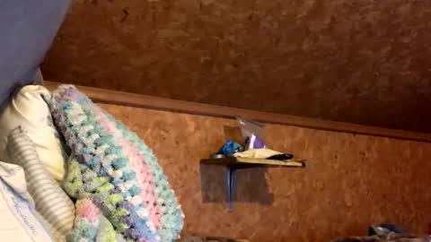 Snapshot of mikeblair5081 chatting on 18, 12, 2025 mikeblair5081 online show from 18, 12, 2025