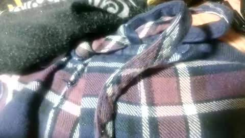 mikeyd1a online show from 22, 3, 2026