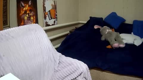 Milaxcute online show from 15, 9, 2025