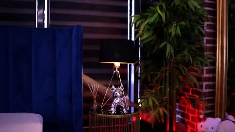 Milla online show from 2, 3, 2026