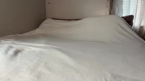 Mina online show from 11, 3, 2026