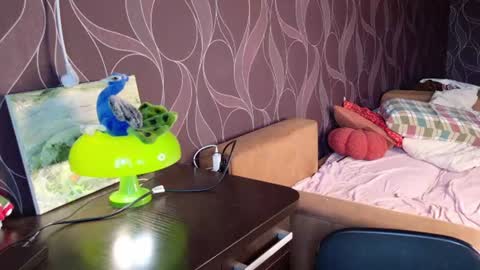 Snapshot of miriamor chatting on 14, 6, 2026 Mira online show from 14, 6, 2026