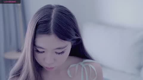 Misa online show from 8, 12, 2024