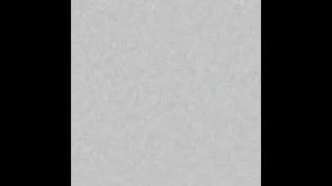 Misa online show from 24, 11, 2025