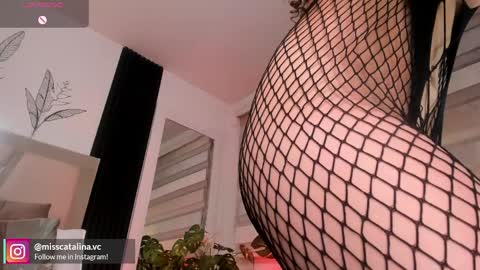 Catalina online show from 1, 4, 2026