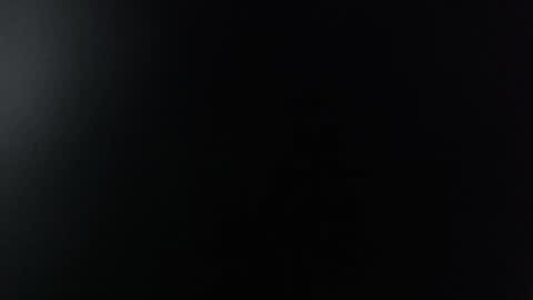 Snapshot of miss_lina_dream chatting on 13, 12, 2024 Miss Lina online show from 13, 12, 2024